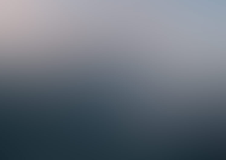 Imagem enquanto o loading é realizado